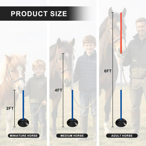 Size comparison of Six 6-Foot Adjustable Pole Bending Poles For Horses And Pups, 2ft for miniature horse, 4ft for medium horse