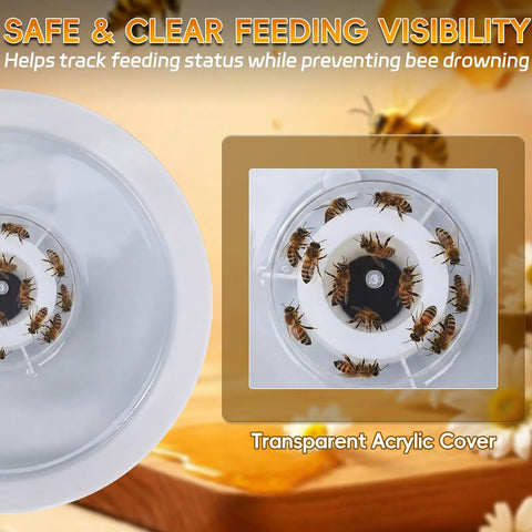 Round Bee Top Feeder For Langstroth Hives Four Pack Food Grade PP Beehive Top Feeder with bees feeding under acrylic cover