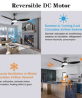52 Inch Black Ceiling Fan With Light And Remote Control, Outdoor Patio Ready Ceiling Fan With Quiet DC Motor, Reversible 3CCT LED Light, 3 Blade Modern Design For Living Room Or Bedroom illustrating reversible DC motor function in different rooms.