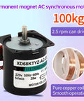 28W 220V Small AC Motor With Low Speed Reversible Permanent Magnet Synchronous Drive Gear Reduction At 10 RPM