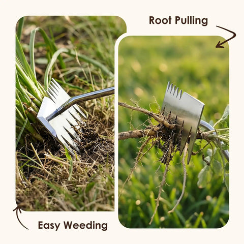 Six Tooth Dual Head Weed Puller Tool Upgraded 2026 uprooting weeds in garden, showcasing stainless steel hand rake in action.