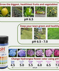 Easy To Use 0 To 14 pH Soil Test Strips Kit For Indoor And Outdoor Gardens with images showing optimal plant health at various pH levels.