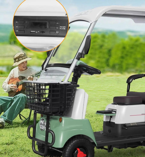 Interior view of 28 Mile Range Electric Golf Cart With 60V Lead Acid Battery And 13 Inch All Terrain Tires, featuring control panel and basket.