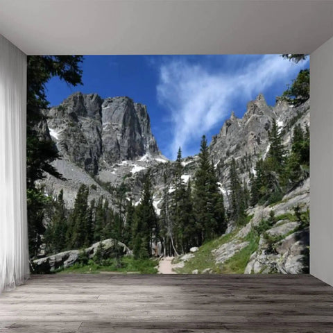 Room with Rocky Mountains Hiking Wallpaper Peel And Stick Self Adhesive Removable Wall Mural For Living Room And Bedroom 100 Inch By 144 Inch Waterproof PVC Dope Backdrop, depicting a scenic mountain trail view.