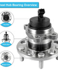 Premium 2 Piece Rear Wheel Hub And Bearing Assembly Bolt On Direct Fit Replacement For Kia Soul And Soul Ev, detailed top view.