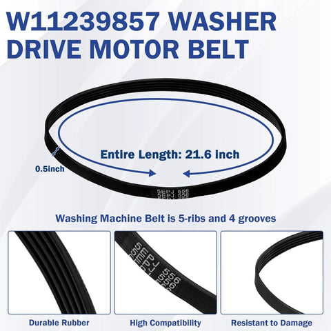 Washer drive belt replacement, front view, 21.6 inch length, 5-rib, durable rubber for top-load washers