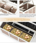 Interior view of 40 Inch Wooden Chicken Coop with 3 lockable nesting boxes showing eggs and straw bedding, removable dividers visible.