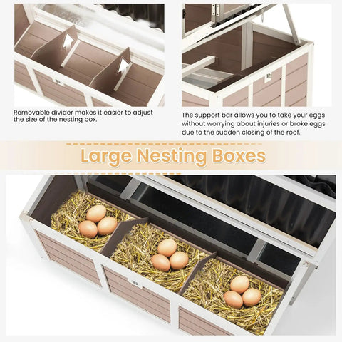 Interior view of 40 Inch Wooden Chicken Coop with 3 lockable nesting boxes showing eggs and straw bedding, removable dividers visible.