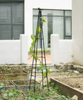 67 Inch Obelisk Garden Trellis For Cucumber And Climbing Plants Yard Ready Outdoor Plastic Coated Metal Support For Vines Tomatoes And Flowers Black Two Pack Set in garden