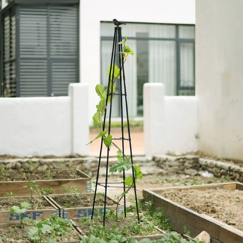 67 Inch Obelisk Garden Trellis For Cucumber And Climbing Plants Yard Ready Outdoor Plastic Coated Metal Support For Vines Tomatoes And Flowers Black Two Pack Set in garden