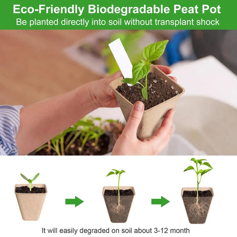 Square Peat Seed Starter Pots, 150 Pack, 3 Inch Biodegradable With Labels, Eco Friendly Nursery Pots For Outdoor Gardens And Seedlings
