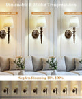 NICOLONOR Battery Operated Wall Sconces Set of 2, Wireless Wall Lights with 12 RGB Colors and 3CCT Dimmable, showing warm, natural, and cool light settings.