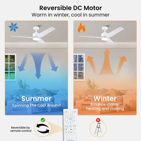 Infographic showing 30 Inch Ceiling Fan With Lights And Remote, 5 Reversible Blades in summer and winter modes with remote control