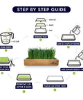Step-by-step guide for Easy Setup Self Watering Cat Grass Kit with soak seeds, prepare tray, add water, and cover steps.