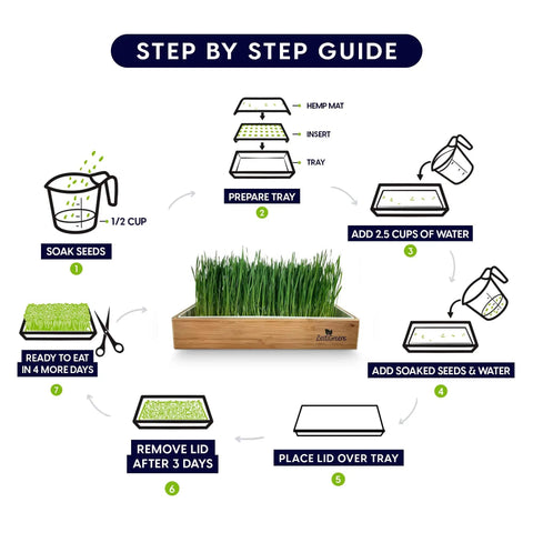 Step-by-step guide for Easy Setup Self Watering Cat Grass Kit with soak seeds, prepare tray, add water, and cover steps.