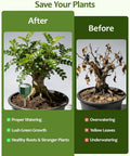Side-by-side comparison of plant health before and after using Soil Moisture Meter For Plants No Battery Required Hygrometer Sensor.