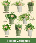 Image of potted herbs for Indoor Herb Garden Kit With Eight Heirloom Seeds For Windowsill, labeled with names like Thyme and Basil.