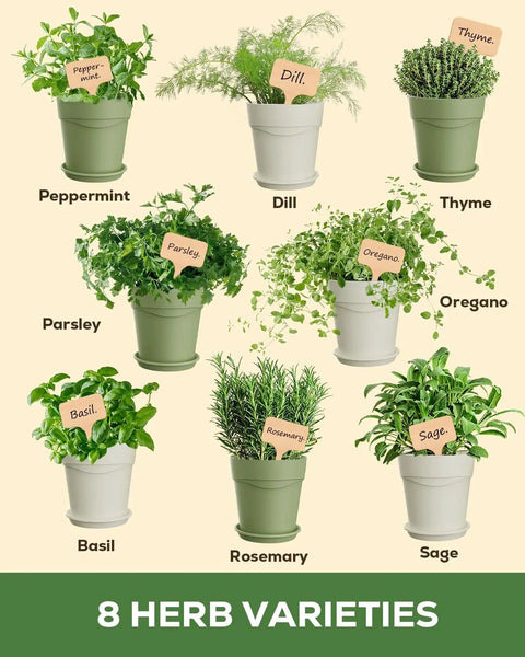 Image of potted herbs for Indoor Herb Garden Kit With Eight Heirloom Seeds For Windowsill, labeled with names like Thyme and Basil.