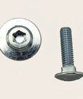 Enclosed Trailer Door Carriage Bolt Kit 5/16-18 X 1 Inch With Flanged Barrel Torx Nut, shown bolt and nut detail