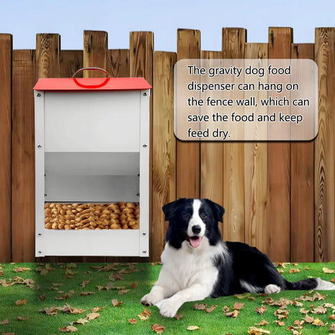 Heavy Duty Gravity Automatic Pet Feeder Galvanized Steel Food Trough Auto Refill Dispenser with dog beside fence.