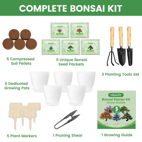 Complete Beginner Bonsai Kit With Five Seed Packets Five Grow Pots And Essential Tools For Indoor Bonsai Growth Including Soil Discs Pruning Shears Markers