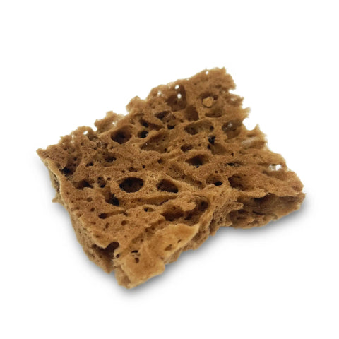 Unbleached Natural Sea Sponges 10 Pack Awesome Value For Arts And Crafts Set 2 To 4 Inch Sponges product
