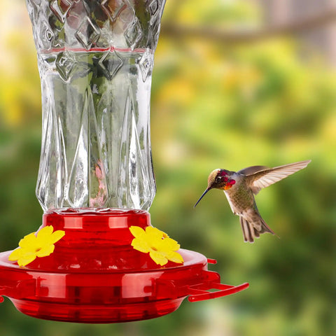 Glass Hummingbird Feeder Outdoor Hanging With Built In Ant Moat And Four Bee Guard Perches Leak Proof 15 Ounce Capacity Stars Decor In Red Theme Ideal Gift For Women Men Moms Dads Who Love Backyard Bird Watching