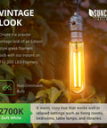 Image of a T10 D2D LED Filament bulb lit outdoors in vintage Edison style, highlighting its 2700K soft white glow and non-dimmable feature.