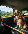 Dog sitting on Deluxe Dog Car Seat Cover For Back Seat With Breathable Mesh Window Hammock Four Layer Heavy Duty Waterproof Pet Protector Scratch Proof