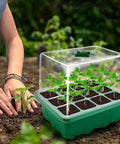 Five Pack Seed Starter Trays With Adjustable Humidity Dome And Base Indoor Greenhouse Propagator For Seed Germination 12 Cells