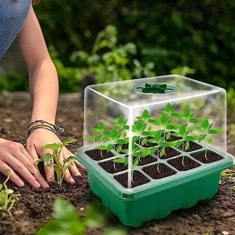 Five Pack Seed Starter Trays With Adjustable Humidity Dome And Base Indoor Greenhouse Propagator For Seed Germination 12 Cells
