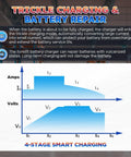 Diagram explaining trickle charging and battery repair for 24V 20A Fully Automatic Smart Forklift Charger with 16 ft cable