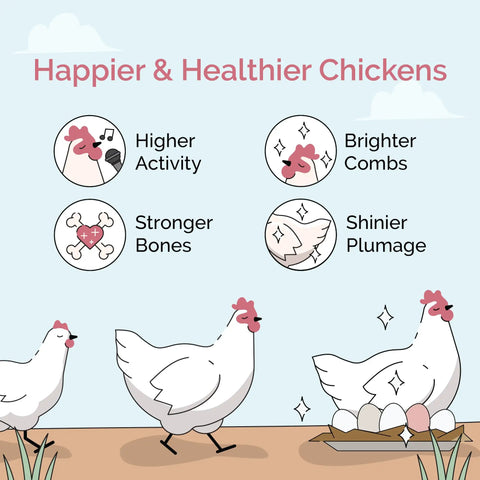 Illustration of chickens with benefits of Chicken Grit For Layer And Grower Chickens Ages 8 Weeks And Up, USA Mined.
