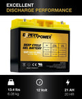 21Ah gel deep cycle battery with performance labels for 100W 12V Solar Power Kit With Gel 21Ah Deep Cycle Battery, 10A PWM Charge Controller