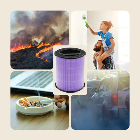 P200S P200 Pro Air Purifier Replacement Filter for smoke and allergen removal with images of pollution sources and a filter.