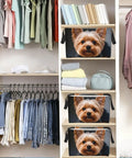 Hella Badass Waterproof Oxford Fabric Rectangle Storage Basket With Sturdy Cross Top Handles For Household Decluttering And Bedroom Shelving Projects Daily on shelves with clothes and books.