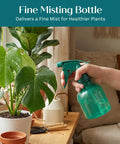 Person holding a green fine misting bottle near potted plants indoors for healthy plant care and maintenance.