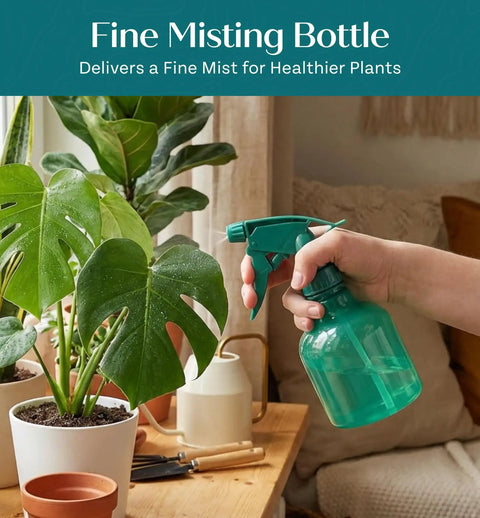 Person holding a green fine misting bottle near potted plants indoors for healthy plant care and maintenance.