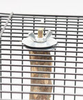 20 Piece Pro Grade Bird Cage Screw Set With Wing Nuts For Rapid Perch Mounting 19 Inch Length showing wing nut on perch