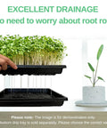 Seedling Starter Trays 5 Pack For Microgreens And Veggies Shallow 1010 Nursery Trays With Drain Holes showcasing excellent drainage.