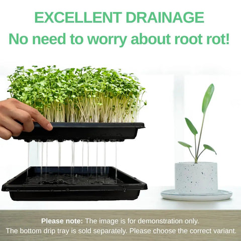 Seedling Starter Trays 5 Pack For Microgreens And Veggies Shallow 1010 Nursery Trays With Drain Holes showcasing excellent drainage.