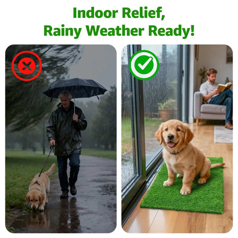 Indoor view of puppy sitting on All Weather Artificial Turf For Dogs And Indoor Potty Training Replacement Grass Rug For Patio Balcony Lawn Weatherproof Dog Pad With Drainage Holes Easy To Clean 18x28 Inch Multiuse Indoor Outdoor Mat.