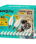 Box of E12 Candelabra LED Bulb 2700K Frosted 40W Equivalent Dimmable Candle Light For Dining Room Living Room Bedroom