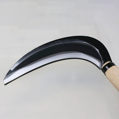 Close-up of Long Handle Weeding Sickle with Razor Sharp Japanese Carbon Steel Blade for stand-up weeding, wooden handle detail.