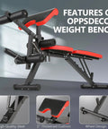 800 Lb Adjustable Weight Bench For Home Gym With Leg Extension And Leg Curl Preacher Curl Bench Side View