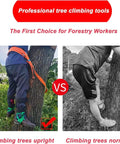 Comparison of Pro Grade Upgraded Tree Climbing Spikes With Dual Claws vs. traditional climbing, showcasing proper technique.
