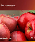 Comparison of Low Quality LED vs CRI 95 showing true apple colors