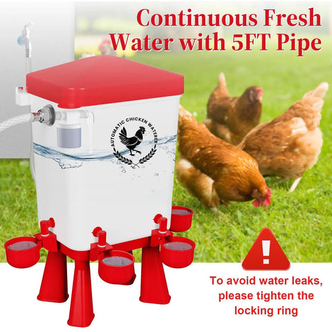 3 Gallon Automatic Chicken Waterer with 5 Foot Pipe and Five Red Nipple Cups Float Control for fresh poultry hydration.