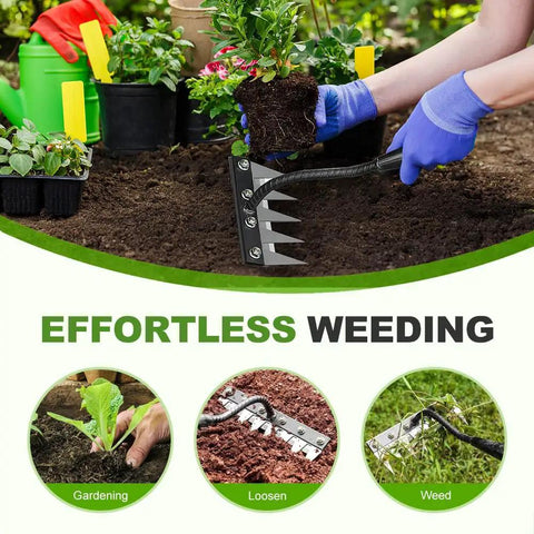 Heavy Duty Weeding Rake Version 2 With 5 6 7 8 Teeth Carbon Steel Garden Tool in use for soil loosening and weeding
