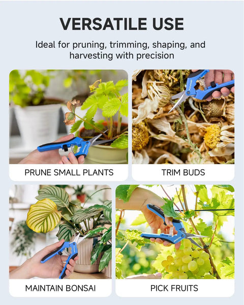 6.5 Inch Pruning Shears 2 Pack With Straight And Curved Blades Duo Garden Snips used for small plants, buds, bonsai, fruits